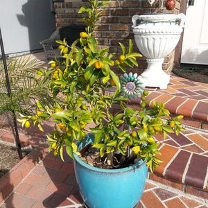 Meet your Posher, Silvia